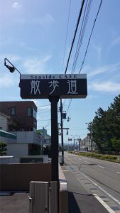 扇ヶ浜道路に面したロケーション。和歌山県田辺市にある散歩道（カフェ・喫茶）では爽やかな海の風を感じながらワンちゃんともカフェを楽しめます。また店内へはスロープを通って入れますのでご高齢の方や車椅子でも安心です。